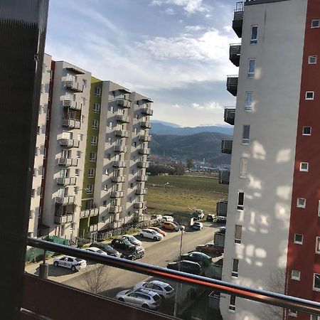 בראשוב Rai Residence מראה חיצוני תמונה